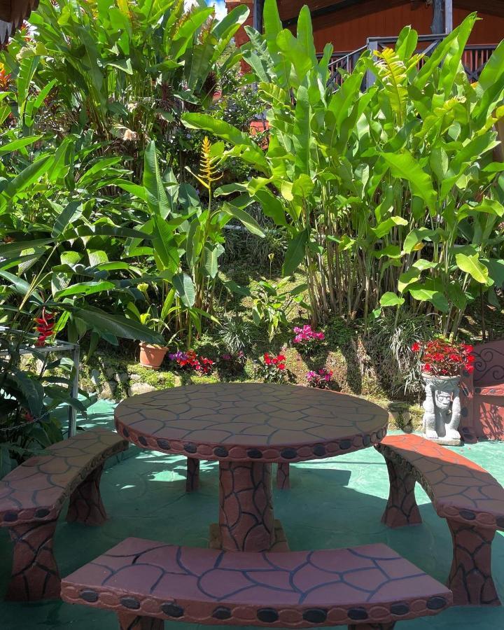 Dreams Lodge Orosi Cartago Exterior photo