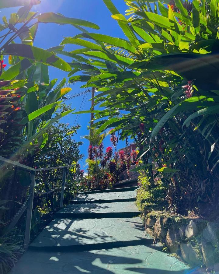 Dreams Lodge Orosi Cartago Exterior photo