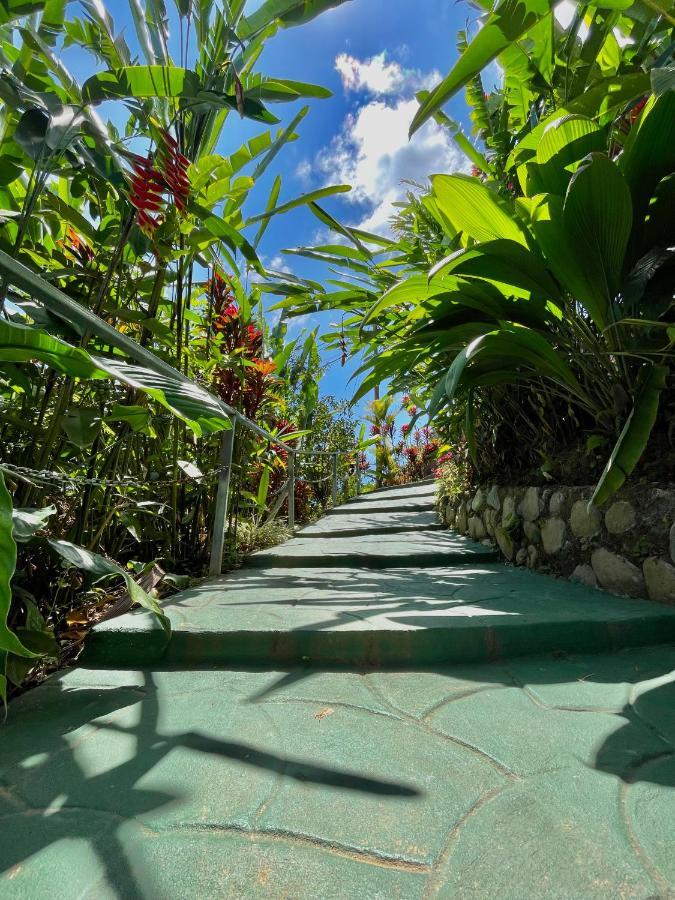 Dreams Lodge Orosi Cartago Exterior photo