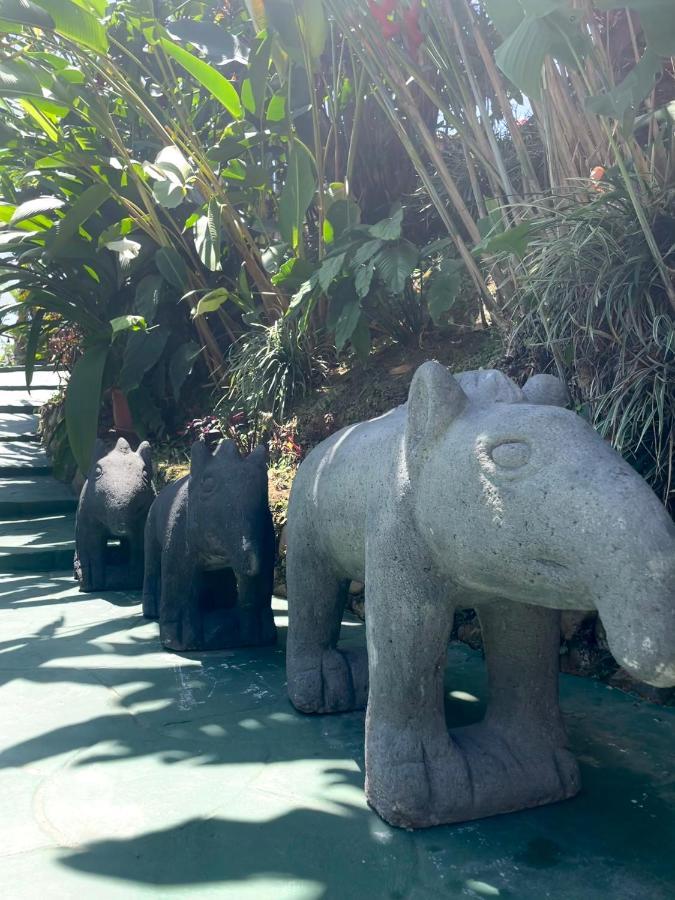 Dreams Lodge Orosi Cartago Exterior photo